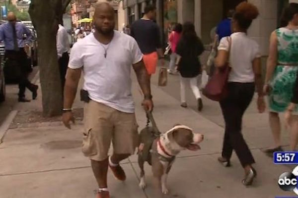 Bus Driver Refuses Purple Heart Recipient Because Of Service Dog