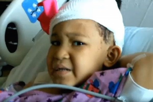 Father Shoots Dog that Mauled Daughter, Charged With Animal Cruelty