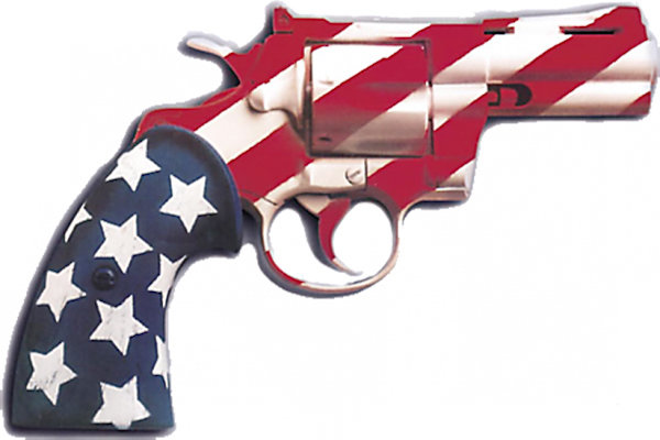 Illegal Aliens Still Have The Right To Keep And Bear Arms, Courts Rule