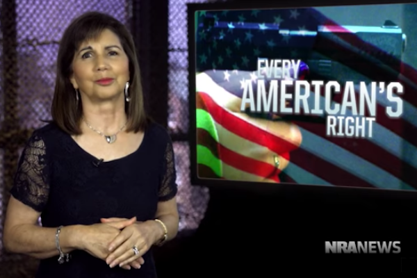 Awesome Video Shows LGBT Community Rally Around 2A