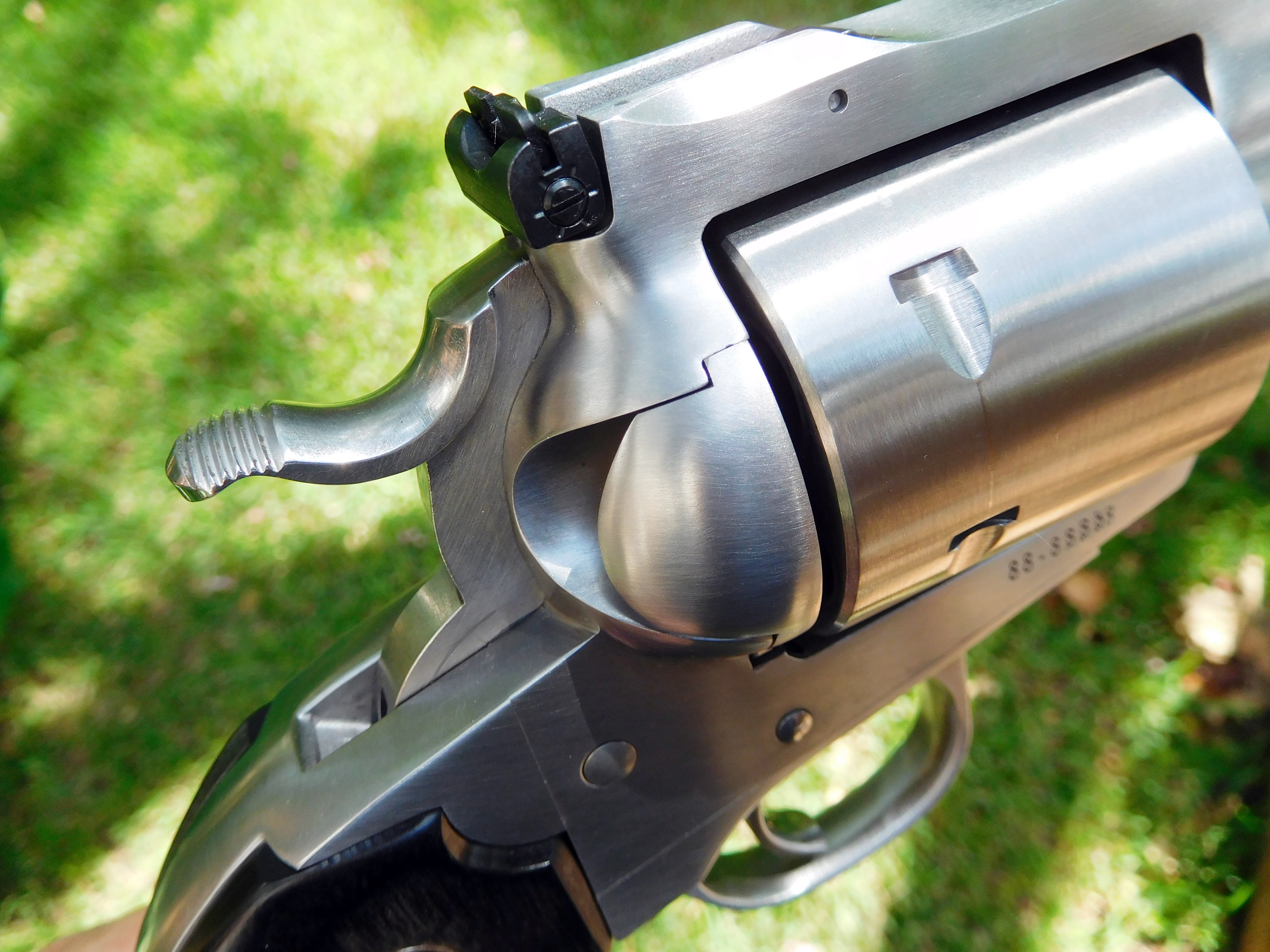 Ruger Super Blackhawk Bisley .44 Magnum with 3.75 inch barrel, best Ruger revolver for bear country