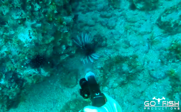 Budget Buy, Holiday Gift Idea: Montana X-Treme Cleaning Kit -- Review