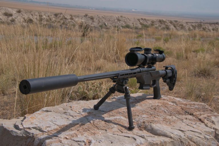 Affordable Accuracy: Savage 10 BA Stealth Rifle—Full Review