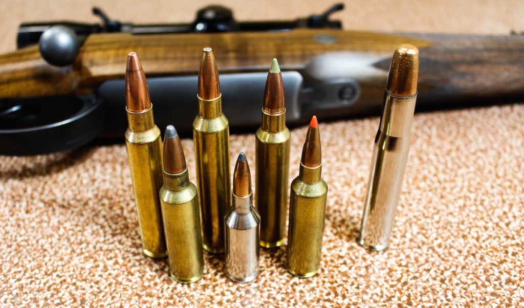 Brothers In Arms: Understanding Famous Ammo Family Trees