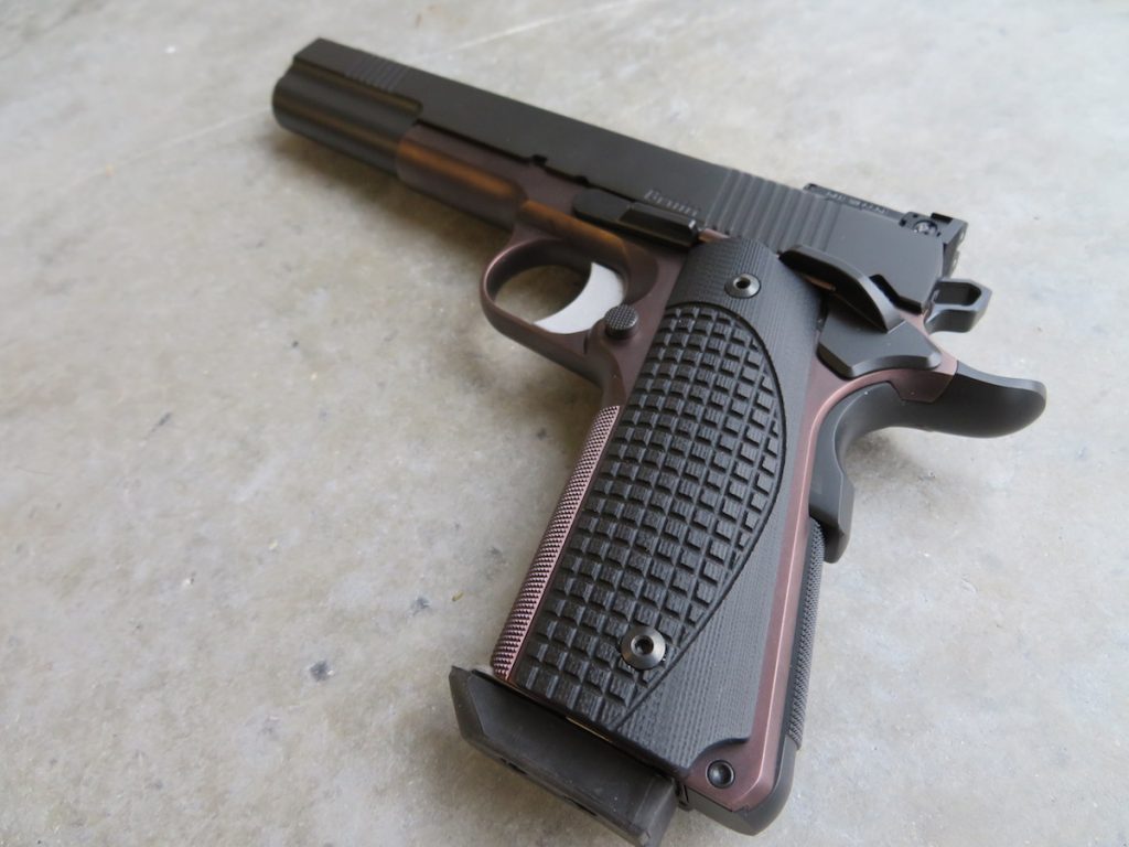 Loaded for Bear: Dan Wesson Bruin 10mm Long Slide – Full Review