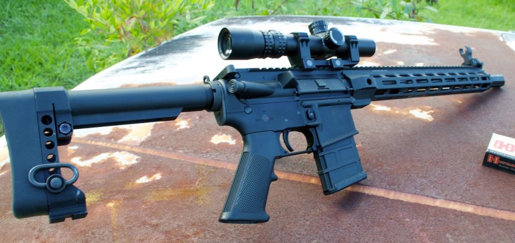 A Carbine for All Occasions — DoubleStar ARC 300