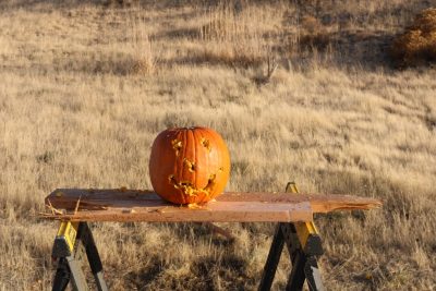 Carve Your Pumpkin Like A Man!