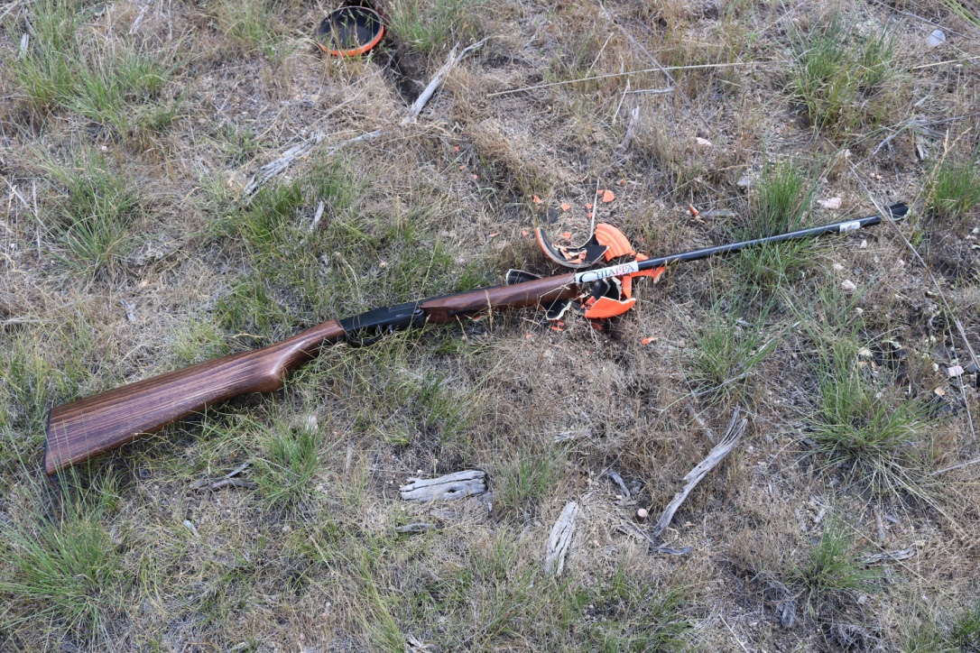 Chiappa Little Badger single shot 9mm Flobert shotgun