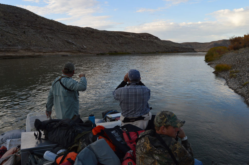 The Colorado Bighorn Sheep Hunt of a Lifetime!