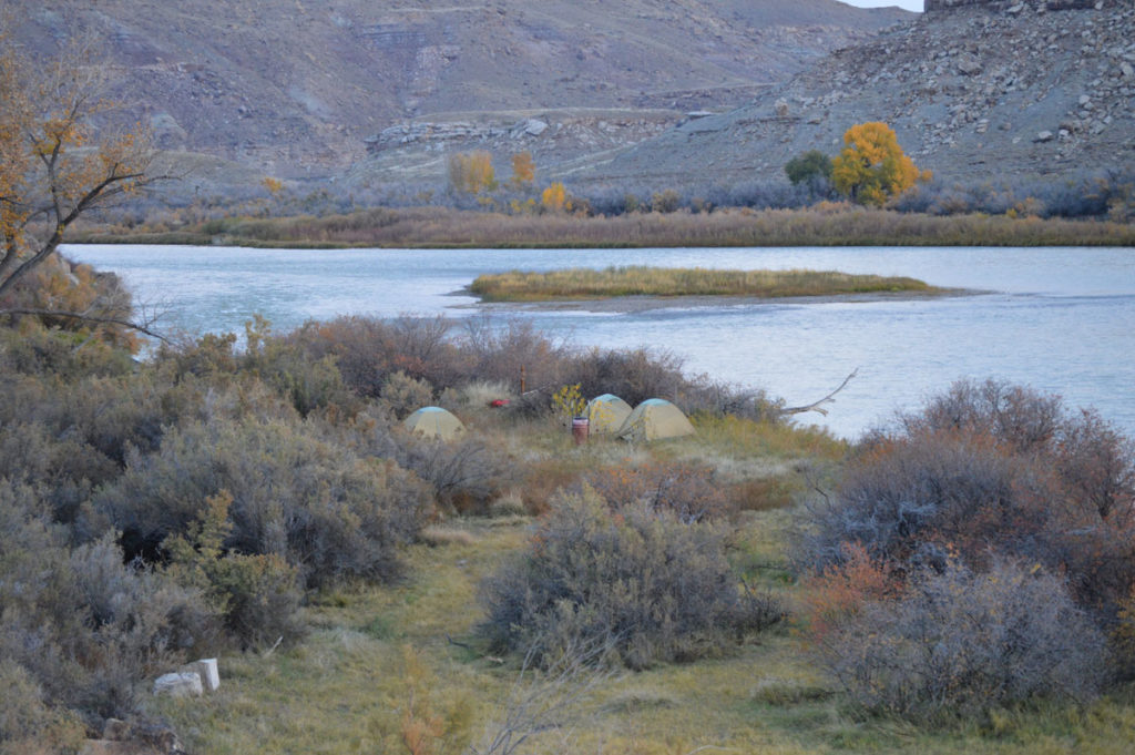 The Colorado Bighorn Sheep Hunt of a Lifetime!