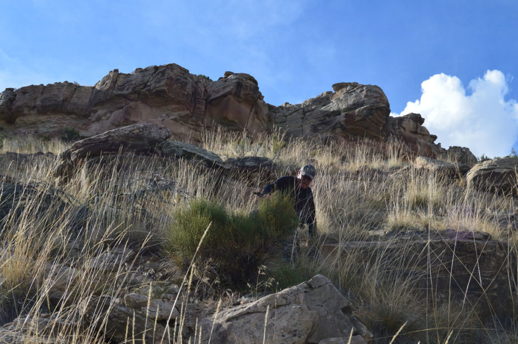 The Colorado Bighorn Sheep Hunt of a Lifetime!