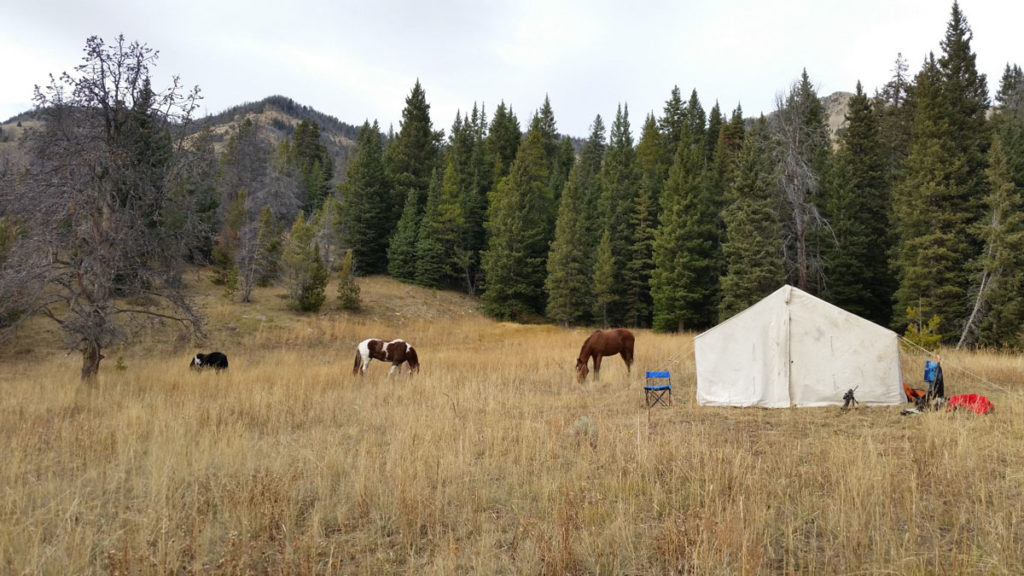 Setting Up A Rifle For An Elk Hunt