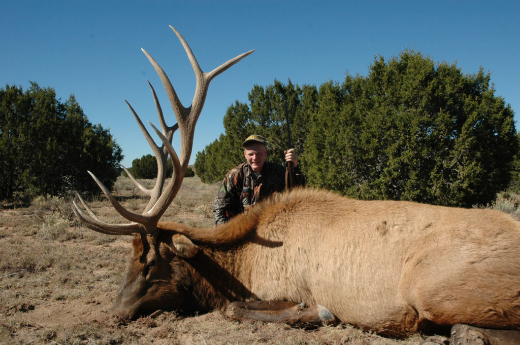 Bull Elks are Bugling...Wherever They Are