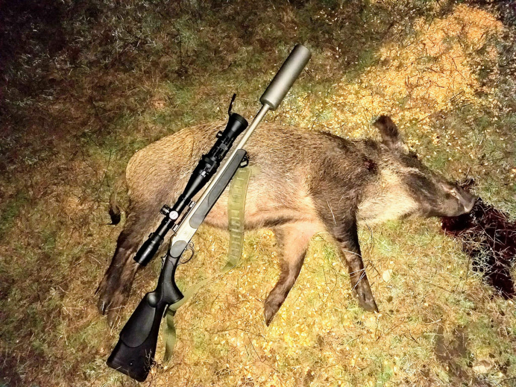 Night Hunting Hogs With a Suppressed Muzzleloader?  Hell, Yes!