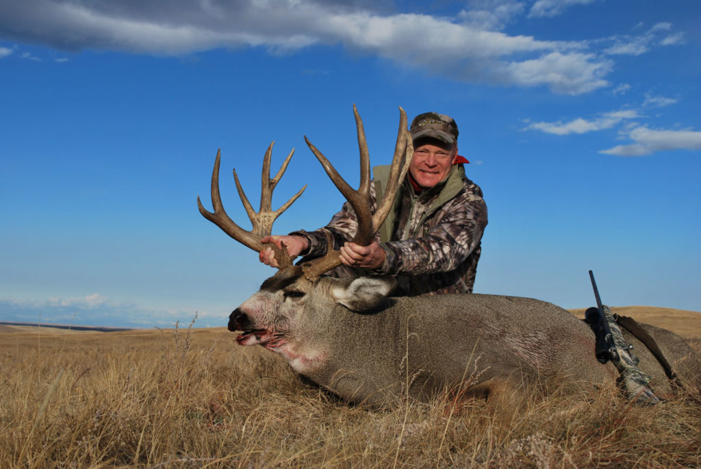 Looking for Big Mule Deer