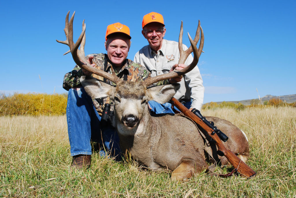 Looking for Big Mule Deer