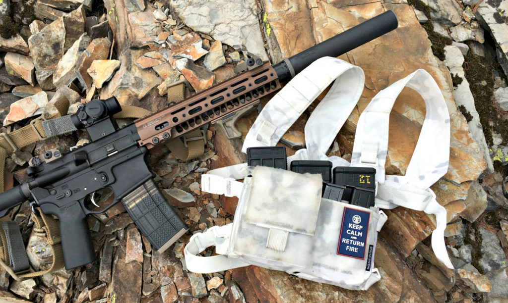 Spiritus Systems Micro Fight Chest Rig