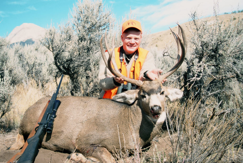 Looking for Big Mule Deer