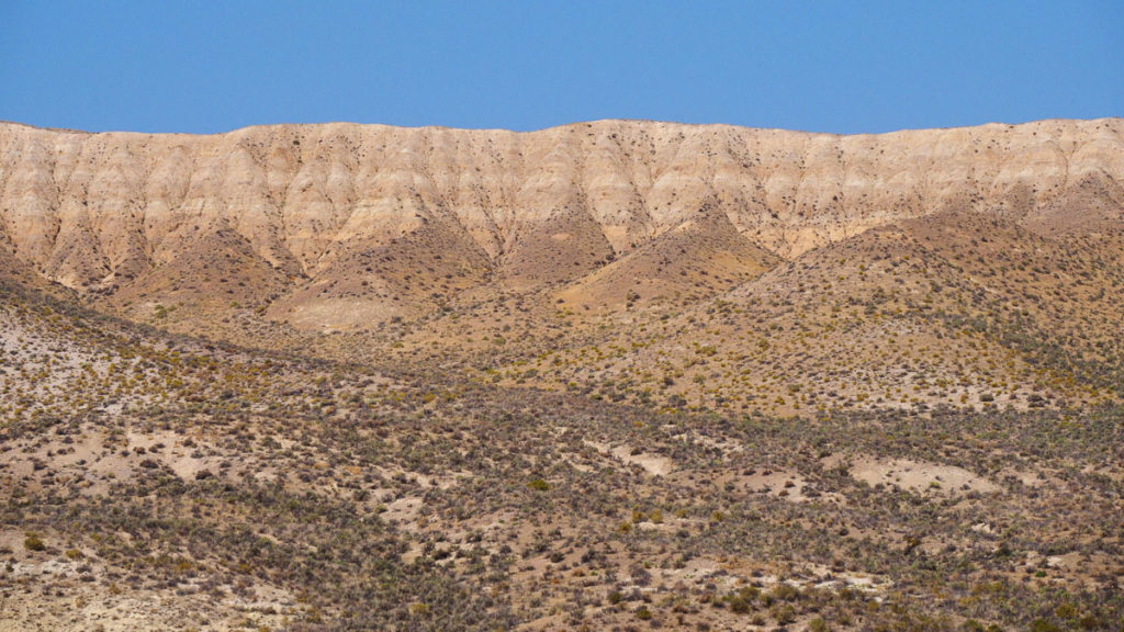 Bowhunting Pronghorn: Success Despite Mistakes