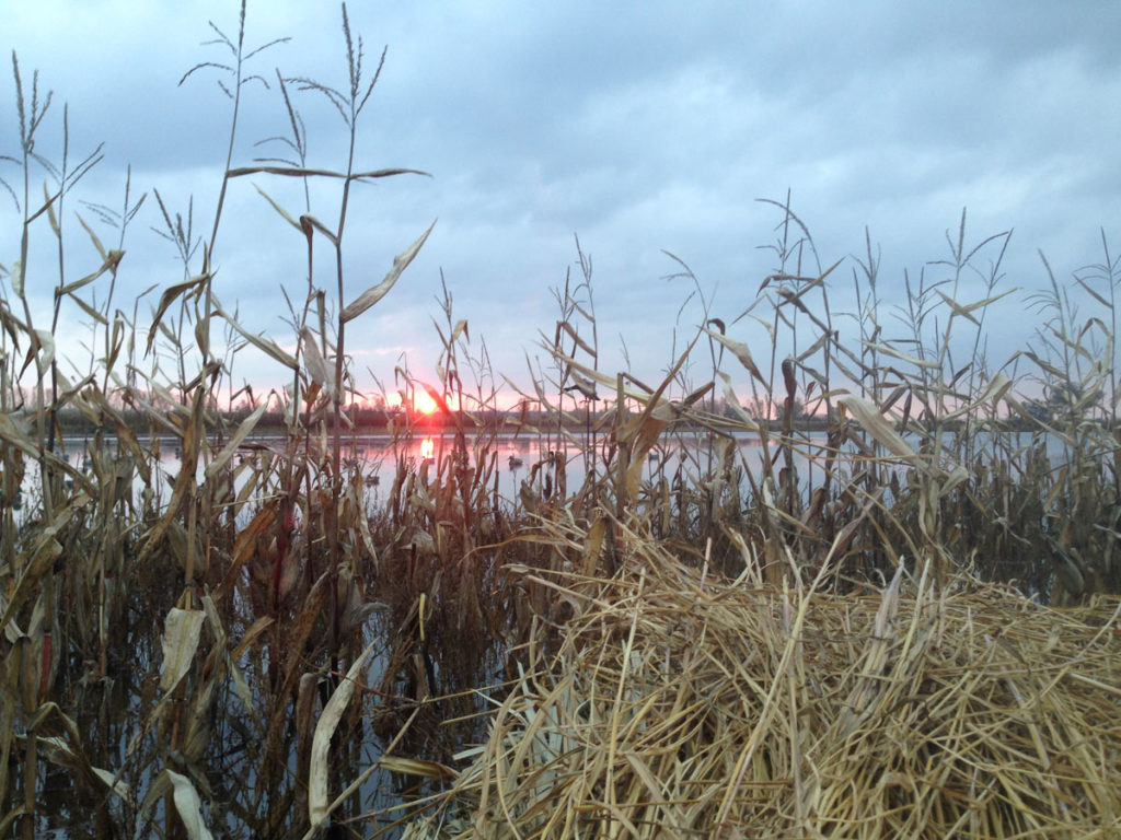 Fall 2018 Waterfowl Weather Forecasts