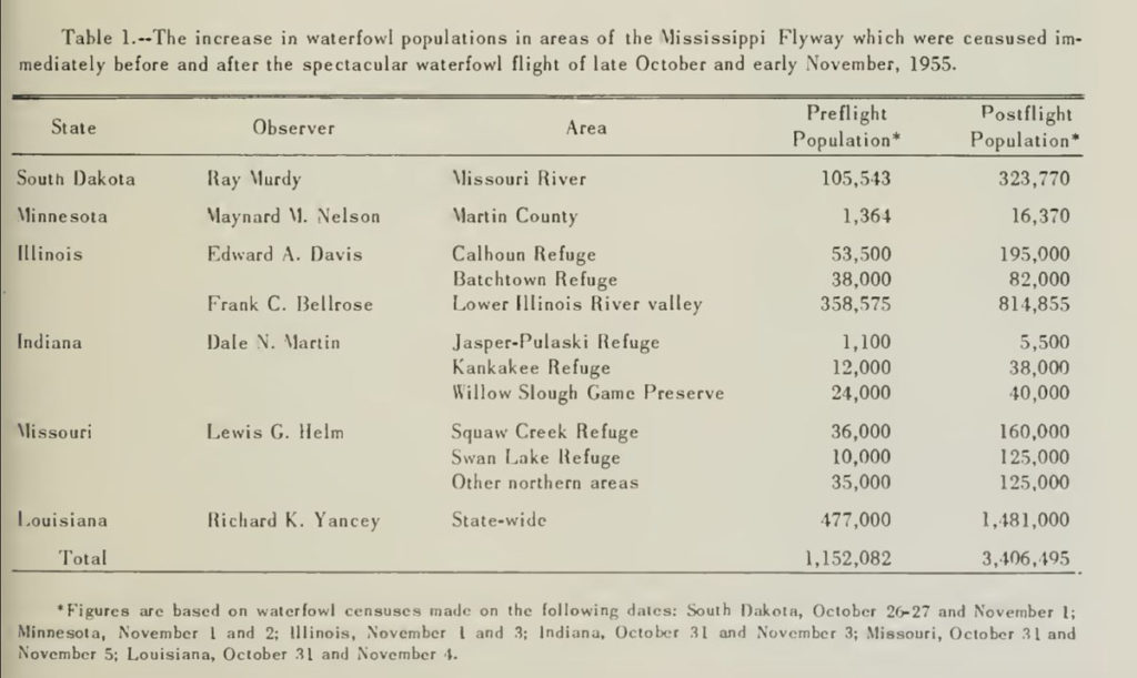 Ducks & Geese: The Perfect Storm of 1955