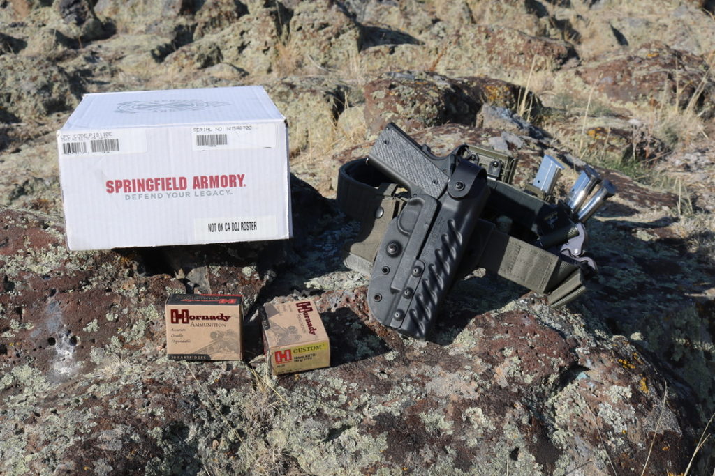 The NEW Springfield Armory RO Elite in 10mm - First look