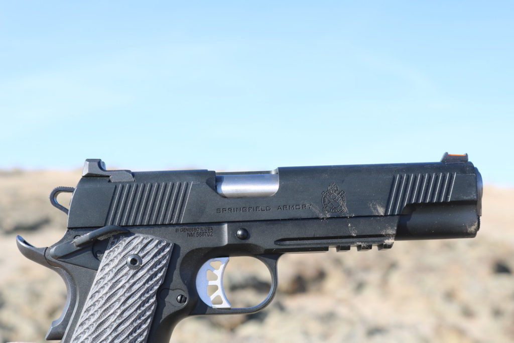 The NEW Springfield Armory RO Elite in 10mm - First look