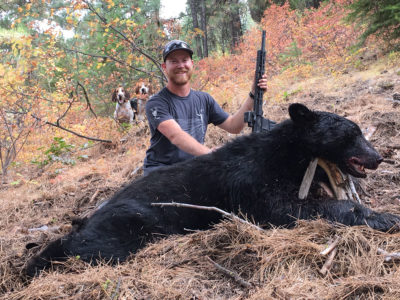 Hunting Black Bear in Western Idaho with Hounds