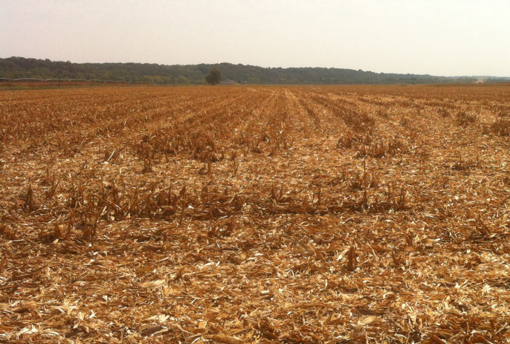 Field Hunting and Farmers - Understanding Goes A Long Ways