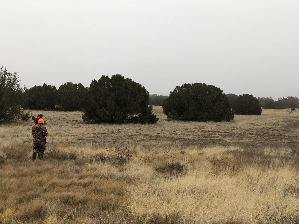 Late Season Mule Deer - Ultimate Predator Decoy Review