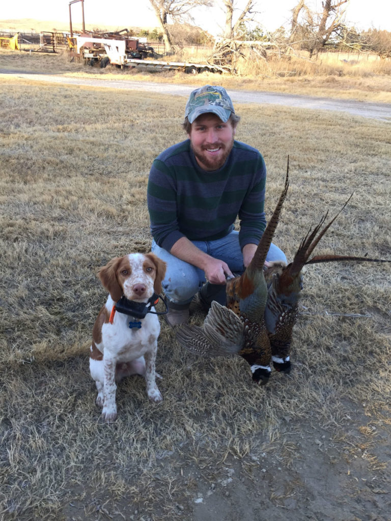 Late Season Ringnecks