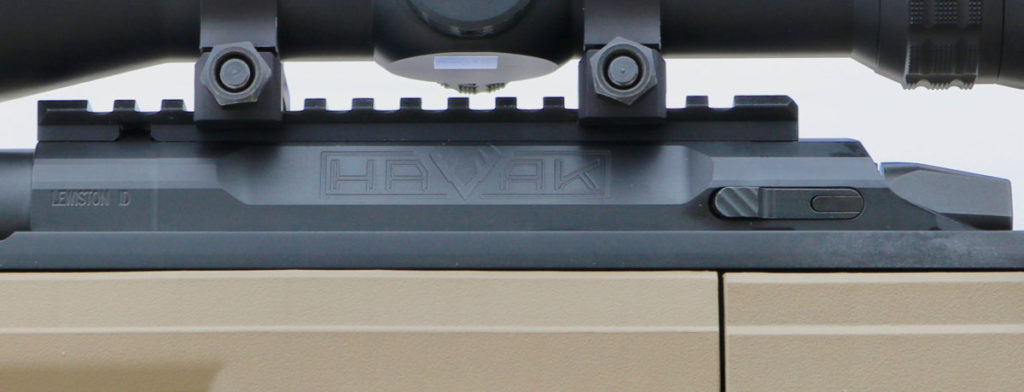 Long Range Precision: Seekins Havak Bravo Review