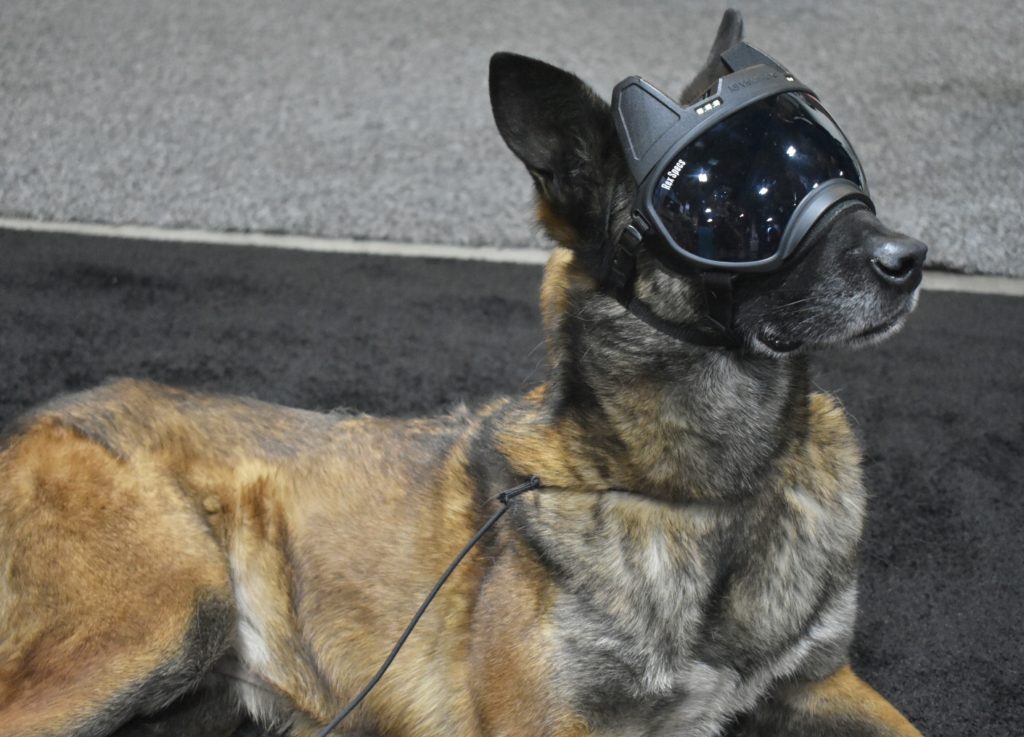 Dog Goggles With A Video Camera in Them? Yep, Rex Specs Does That - SHOT Show 2019