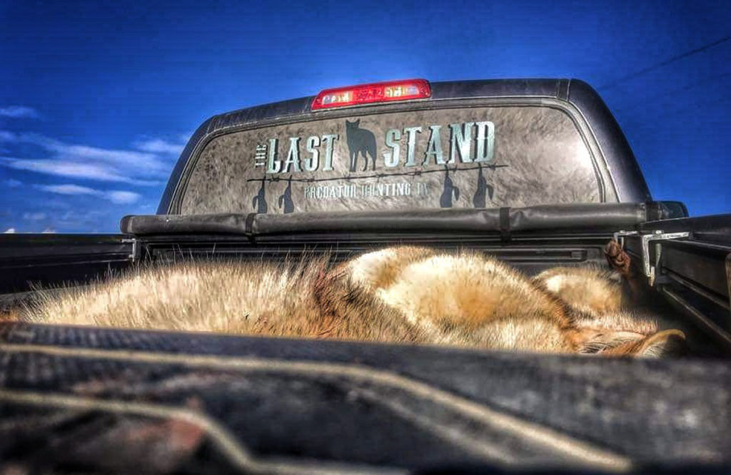 National Coyote Calling Championship: The Best 2nd Place Finish of All Time…Part 1 of 2