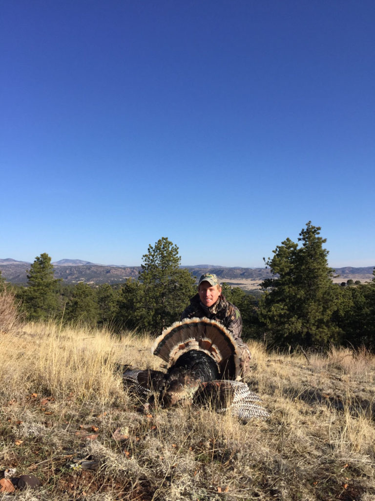 Spring Turkey Hunting Is Coming and It's a Great DIY Hunt Opportunity