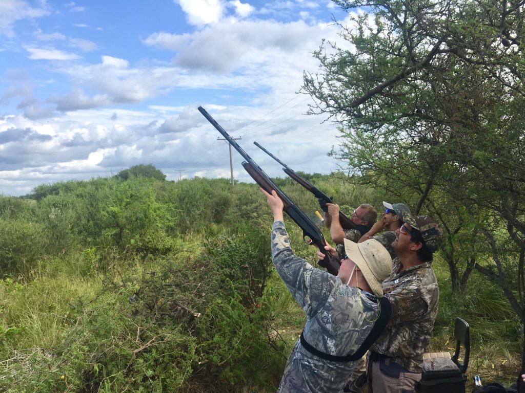 Dove for a Lifetime: Argentina Bucket List Hunt