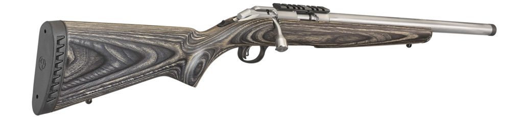 Ruger's Got New Guns: Stainless American Rimfires, AR Pistol & Updated Hawkeye Alaskan