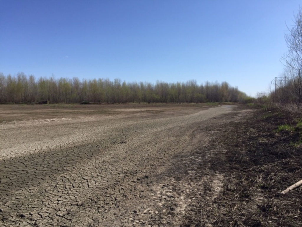 Getting Your Wetland Ready for Fall 2019