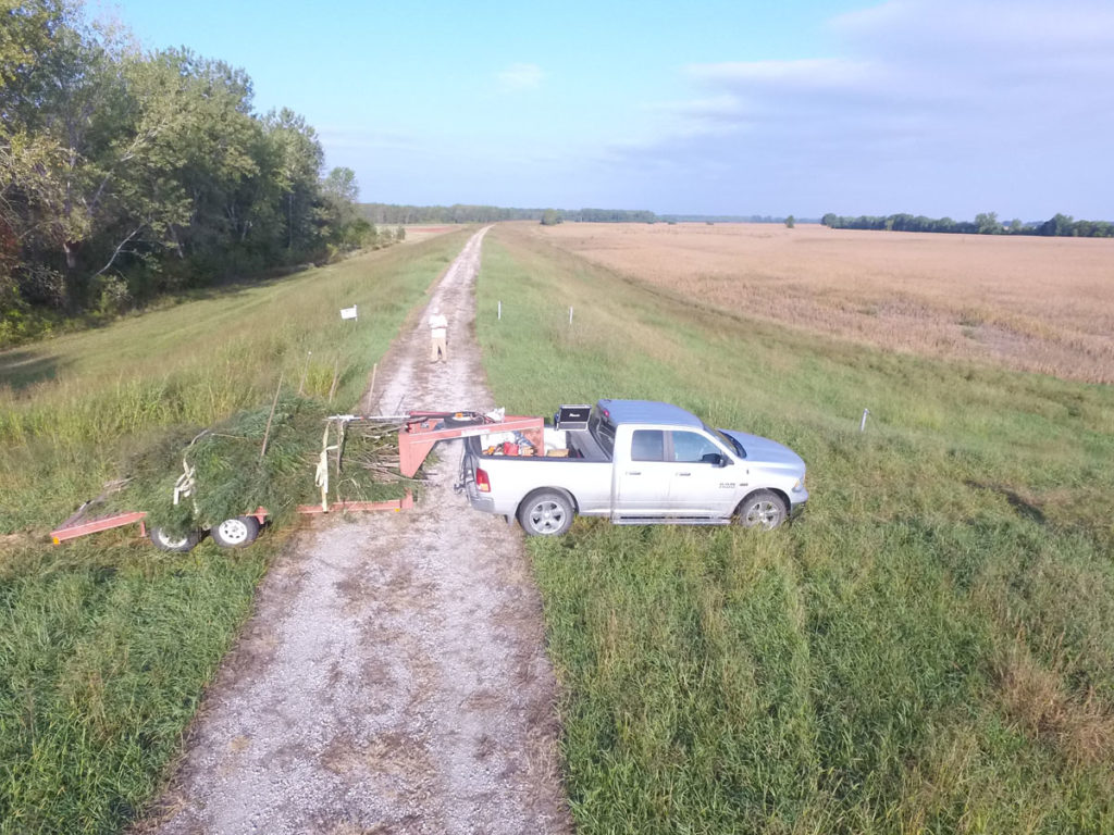 Getting Your Wetland Ready for Fall 2019