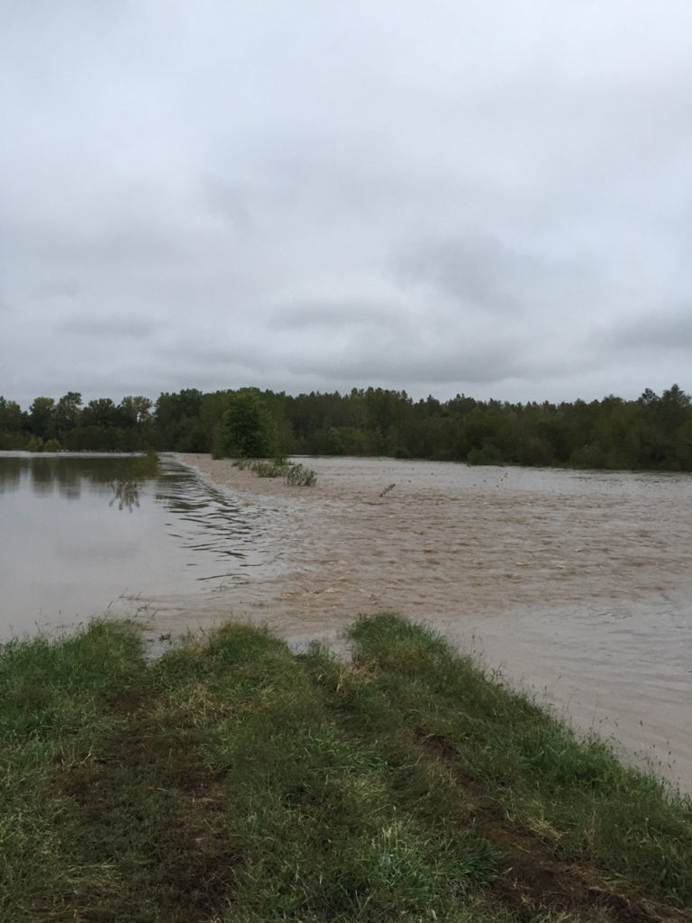 Getting Your Wetland Ready for Fall 2019