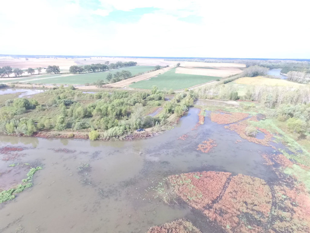 Getting Your Wetland Ready for Fall 2019