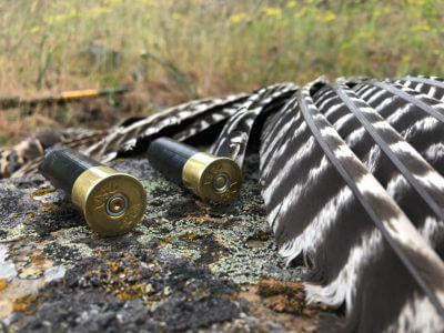 BROWNING AMMO TSS TUNGSTEN TURKEY AMMO REVIEW