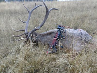 It Doesn't Pay to Poach: Montana Guide Slapped w/ Lifetime Hunting Ban