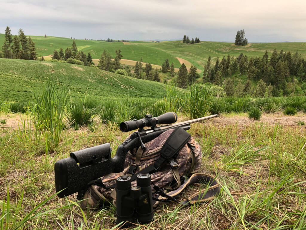 Leupold VX-5HD 4-20X52MM Riflescope Review