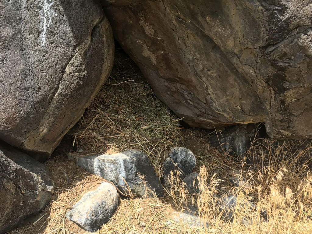 Hunting Rock Chucks & Marmots