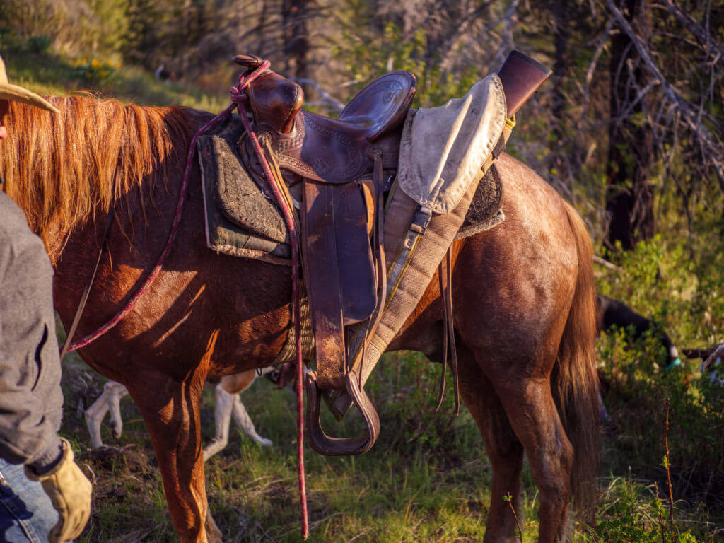 Henry's Long Ranger Is A Lever Gun For The 21st Century