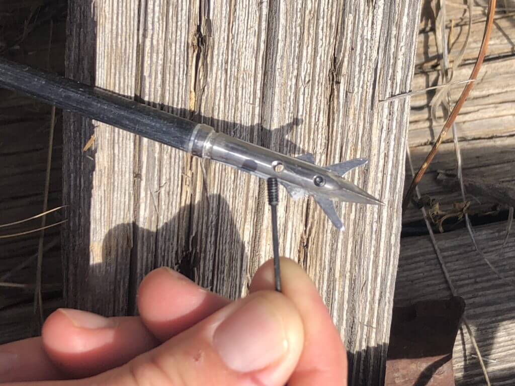 Field Test: SEVR 2.1 Titanium Broadhead