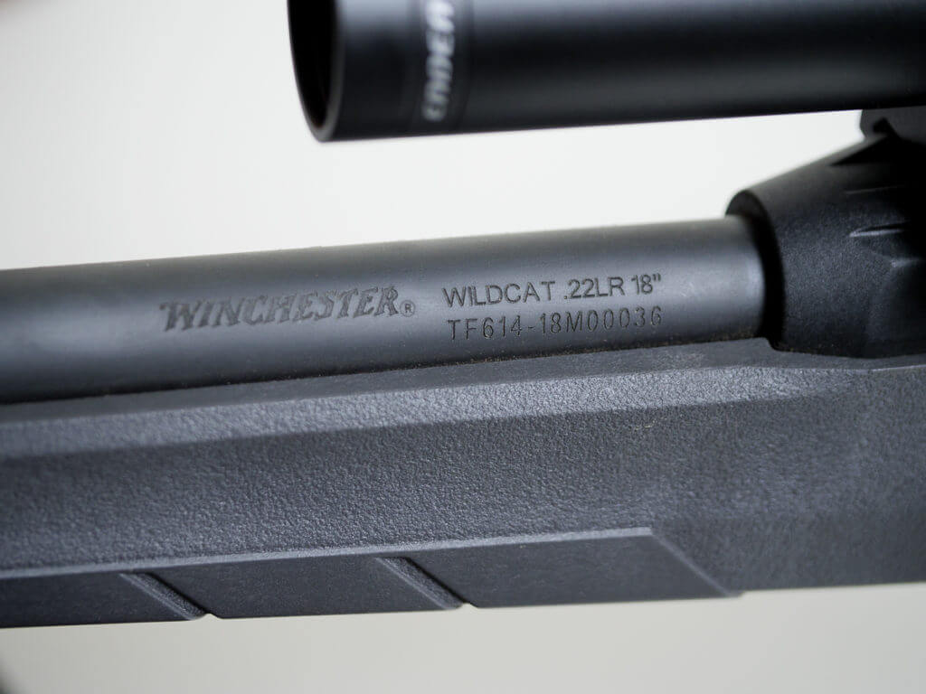 Is Winchester's Wildcat .22 The New Semi-Auto King?