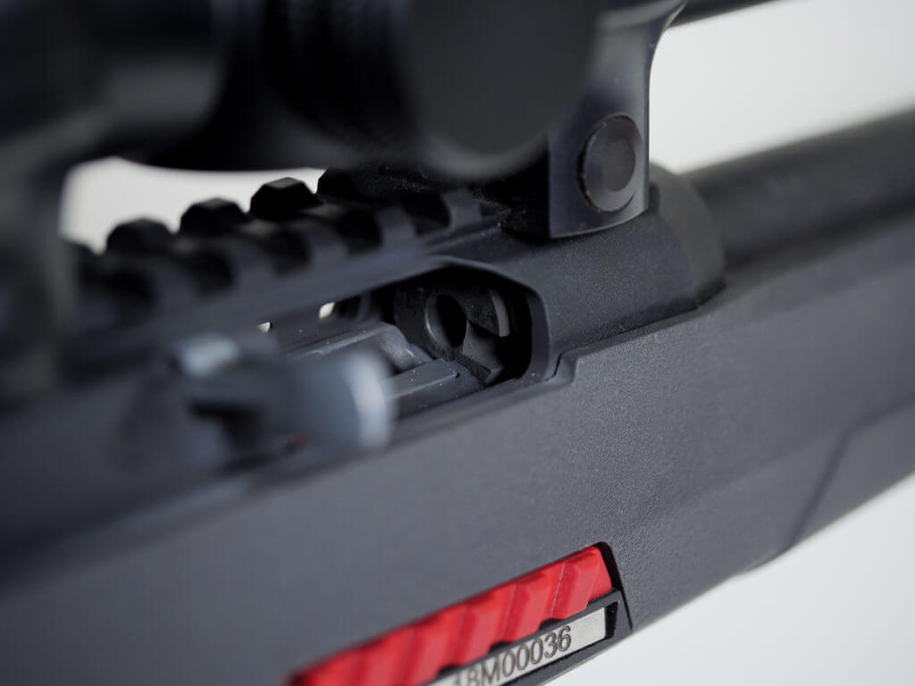 Is Winchester's Wildcat .22 The New Semi-Auto King?