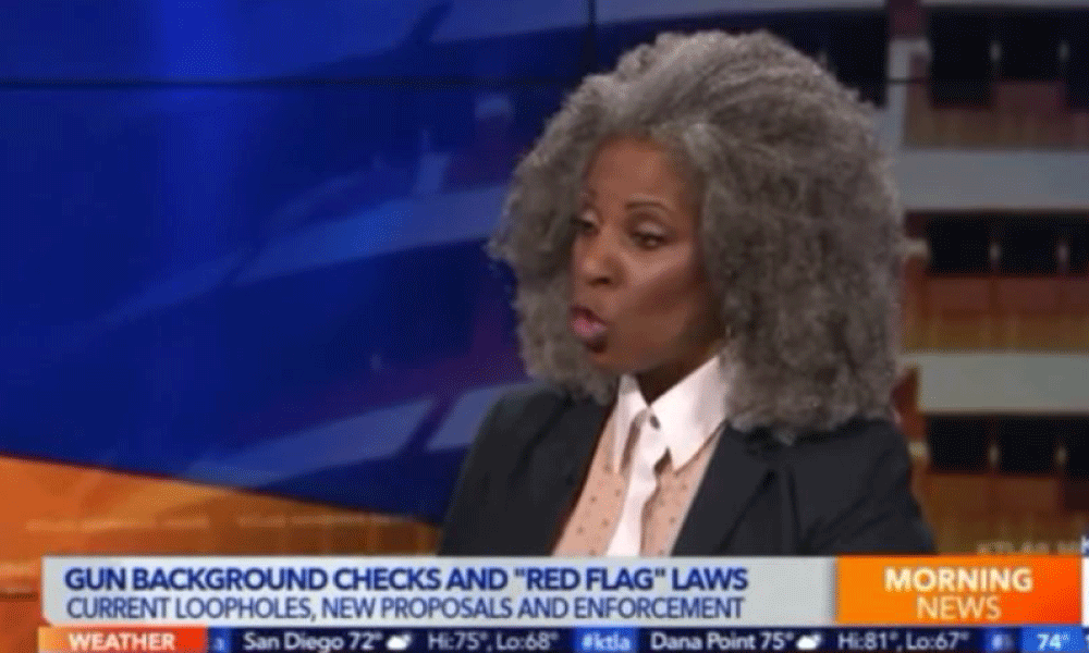 'Double-Barrel Magazine Extended Clips?' Former LAPD Sergeant Reveals Extreme Ignorance on Guns and Gun Laws